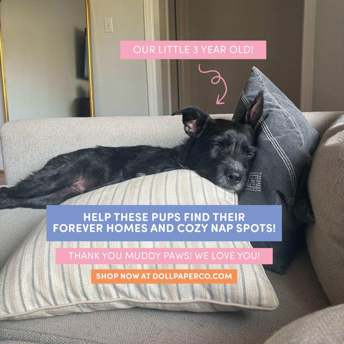 South's 3rd Birthday Card