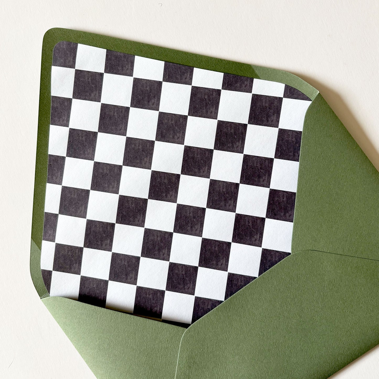 Winter Suite Envelope Liner