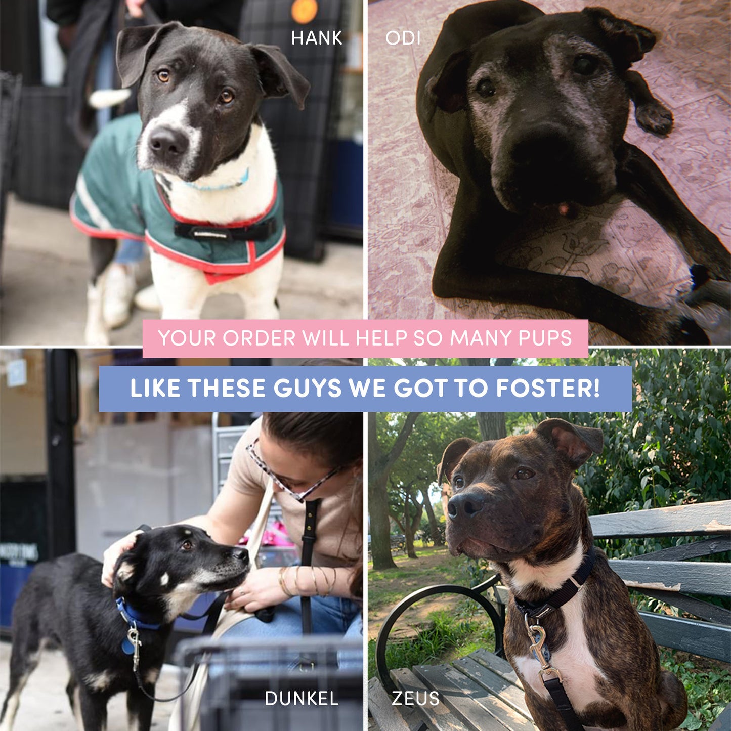 South's 3rd Birthday Card